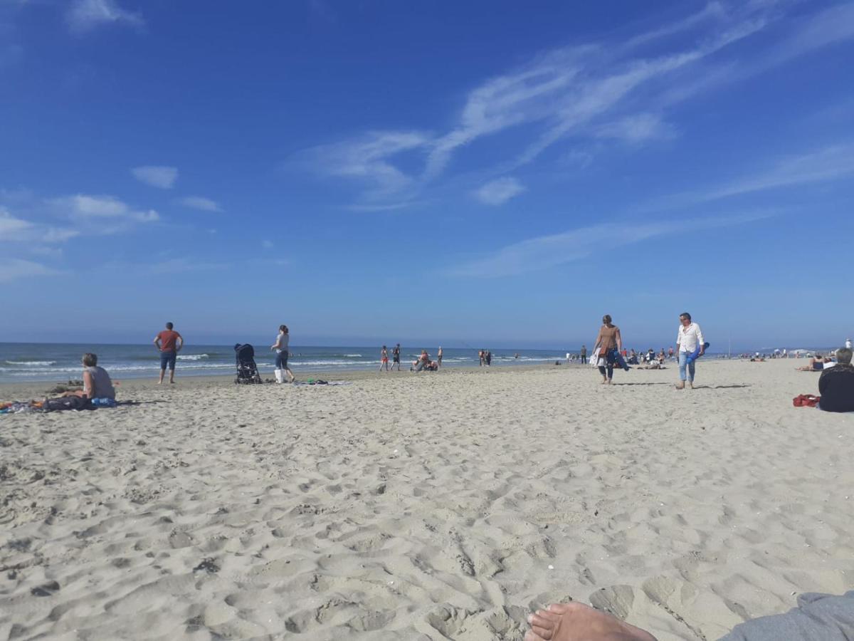 Gite De L'Ecureuil62, Pres Des Plages Et De La Foret Baincthun Kültér fotó